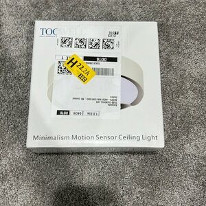 Minimalism motion sensor ceiling light
